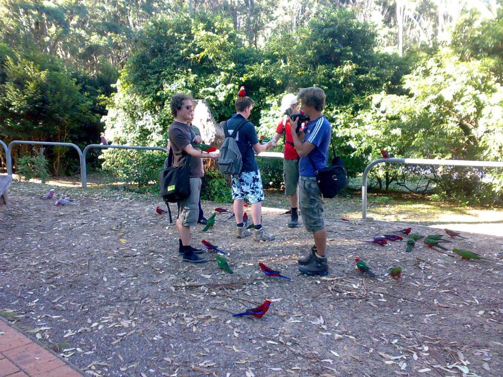 Batemans Bay Holiday Park & Hostel Ngoại thất bức ảnh